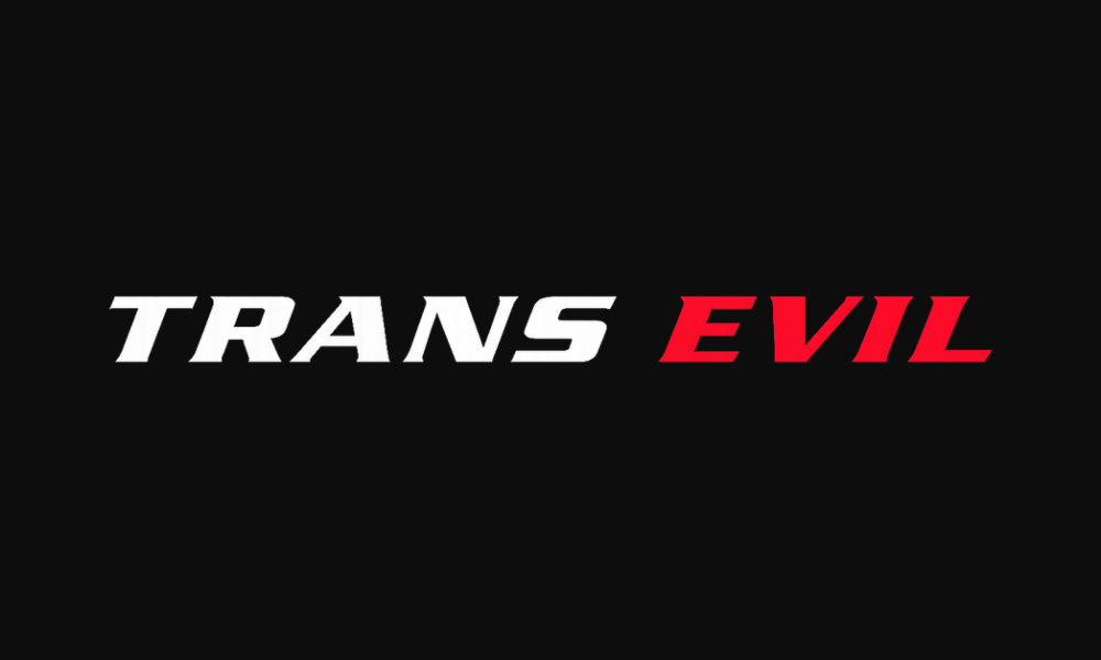 A Quiet Find: Evil Angel Trans Deserves Your Attention